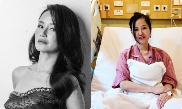 Diva Hồng Nhung, Phương Thanh, MONO, sao Việt 