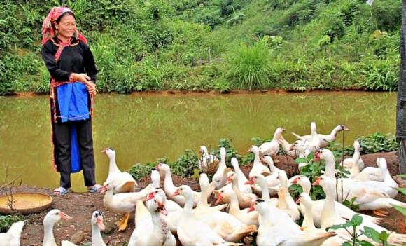 Bắc Ninh, Mù Cả, Lai Châu, diện tích xã rộng bằng nửa Bắc Ninh, dân cư Mù Cả thưa thớt