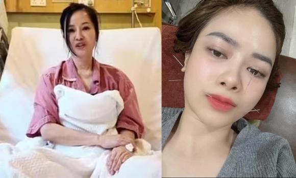 ca sĩ Hồng Nhung, diva Hồng Nhung, sao Việt