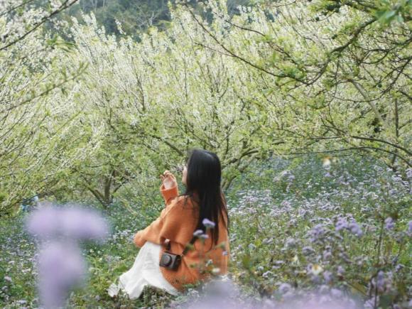 Tỉnh sơn la, nhà máy thuỷ điện sơn la, Cầu kính Bạch Long 