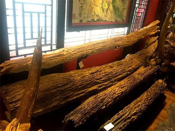 Trầm hương, gỗ quý