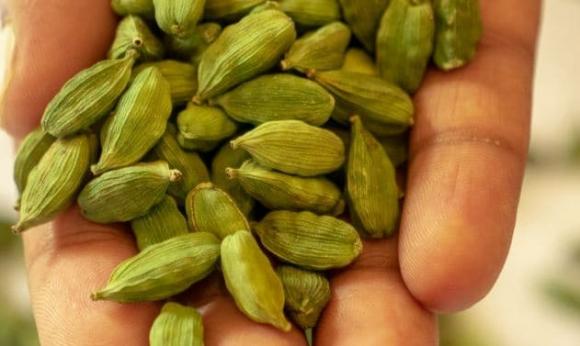 Gia vị đắt đỏ bậc nhất thế giới, bạch đậu khấu