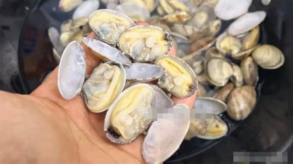 ngao, món ngon, chế biến ngao
