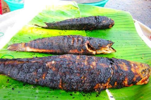 ăn cá, cá không nên ăn, sức khỏe