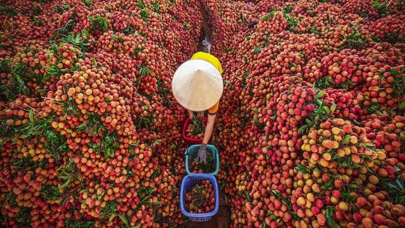 sáp nhập, đặc sản địa phương, đặc sản vùng miền