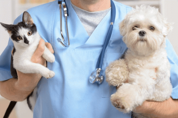 khởi nghiệp, công việc, khởi nghiệp khi thất nghiệp, 