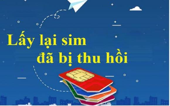 Luật viễn thông, trường hợp bị khoá sim, thu hồi số điện thoại