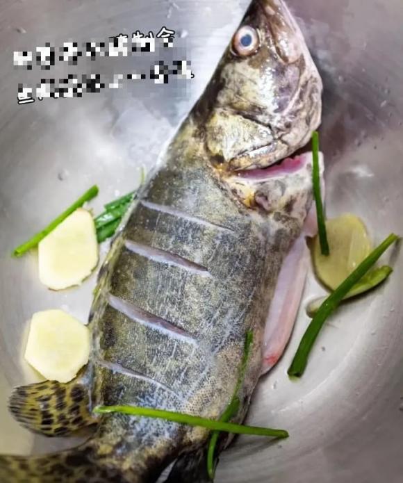 4 loại cá được não bộ ưa thích