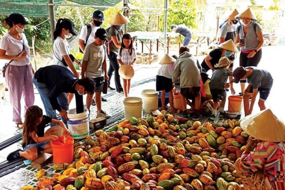 Việt Nam sở hữu loại hạt được ví là kim cương đen