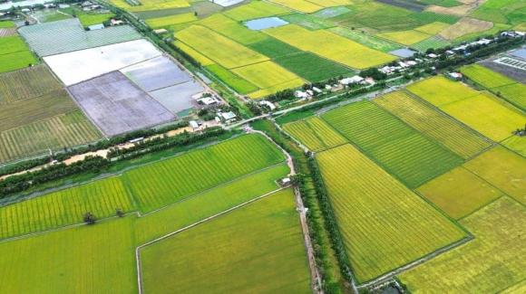 Quy định về sử dụng đất nông nghiệp, long an