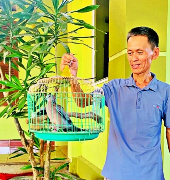 chim cu gáy, Loài chim nghe tên ngượng đỏ mặt, thú vui tao nhã của người cao tuổi