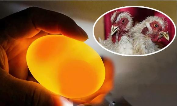 đá viên, đá viên tan nhanh, đá viên quán trà sữa, đá viên tự làm ở nhà