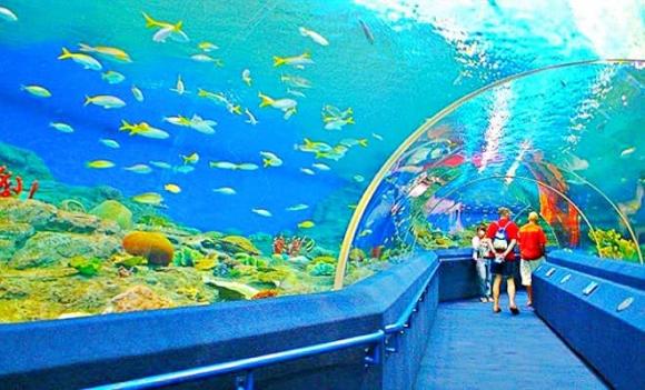 Nha Trang, hòn ngọc biển Đông, du lịch Nha Trang, khách du lịch người Nga,  Khánh Hòa