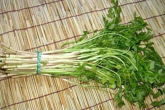 Rau chứa ổ sán, rau cần
