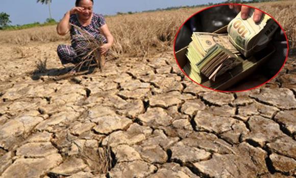 tiền mặt, giấu tiền mặt, tiền chôn trên cánh đồng