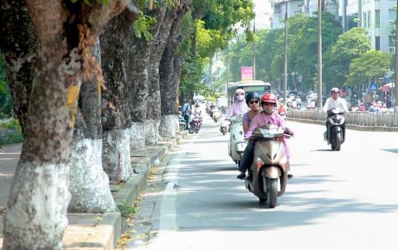 Dự báo thời tiết