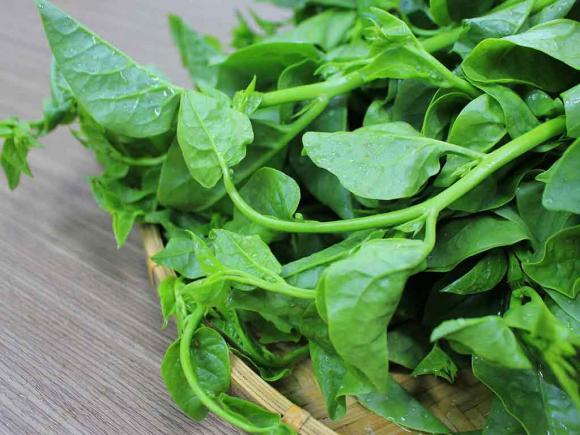 rau mồng tơi, người nào kỵ ăn rau mồng tơi