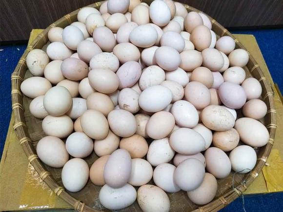 ăn trứng, ai không nên ăn trứng, kiến thức 