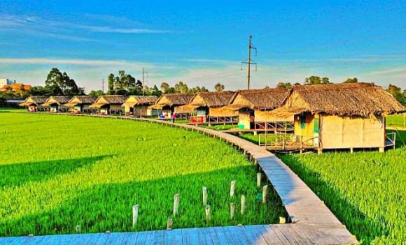 vùng đất sen hồng, Đồng Tháp, vua Gia Long, lịch sử