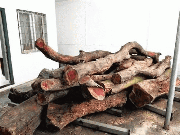 Gỗ quý, gỗ hoàng hoa lê