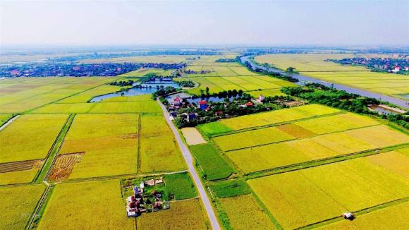 Luật đất đai, quy định sử dụng đất nông nghiệp