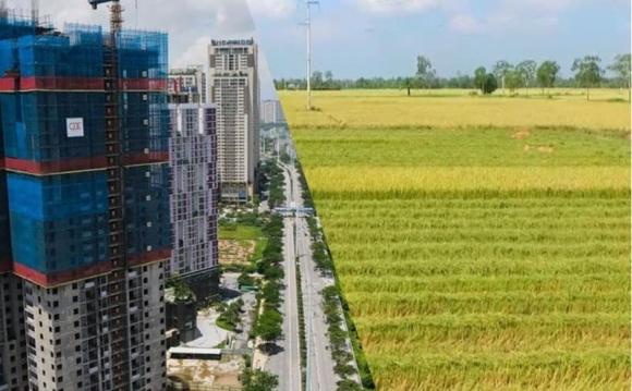 Luật đất đai, thí điểm lấy đất nông nghiệp làm nhà ở thương mại