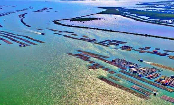 Quảng Ninh, đất trống, Quảng Yên
