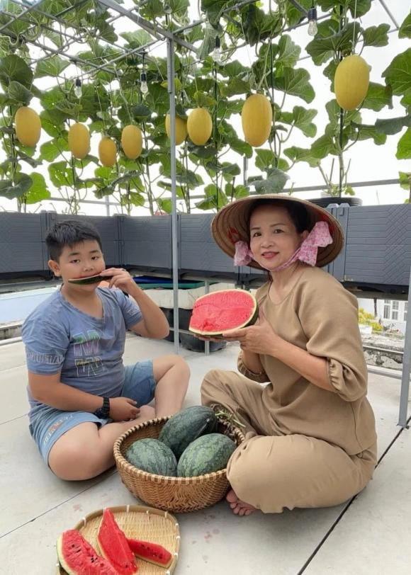trồng rau, trồng dưa trên sân thượng