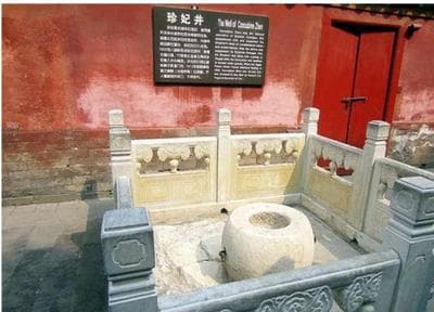 tử cấm thành,