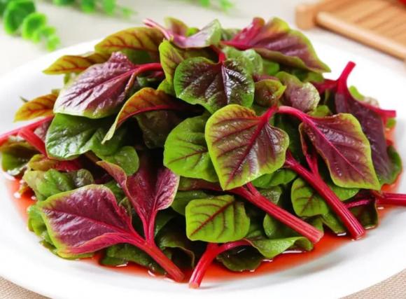 rau dền, lợi ích của rau dền, món ăn từ rau dền