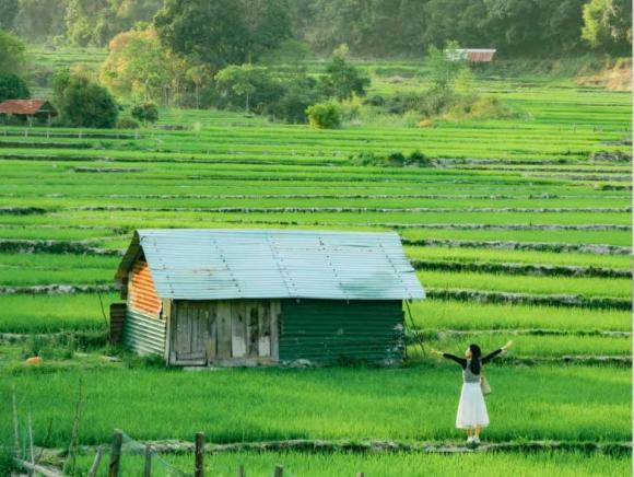 Sáp nhập tỉnh thành, quảng ngãi