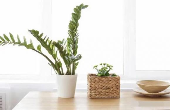 ứng xử, cuộc sống, bạn bè