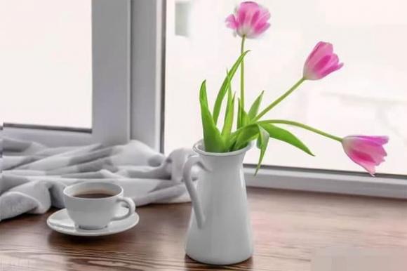 ứng xử, cuộc sống, bạn bè
