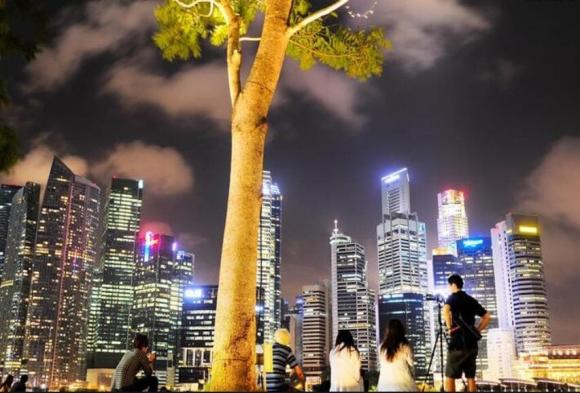 Singapore, định cư