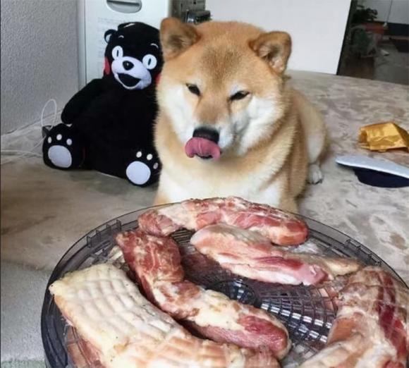 thịt chó, chó nuôi
