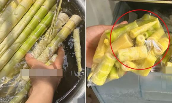 Trữ đông tôm, bảo quản tôm, tôm tươi, kiến thức