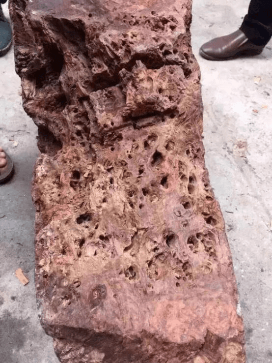 Gỗ quý, gỗ hoàng hoa lê