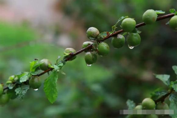 dự báo thời tiết