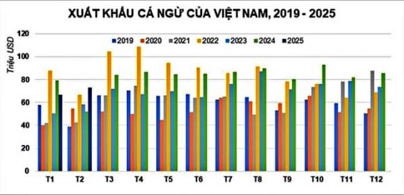 Cá ngừ, Cá tỷ đô của Việt Nam, siêu thực phẩm