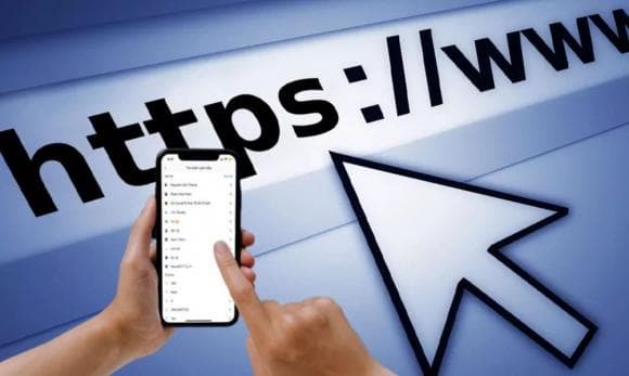 lừa đảo qua mạng, web lừa đảo