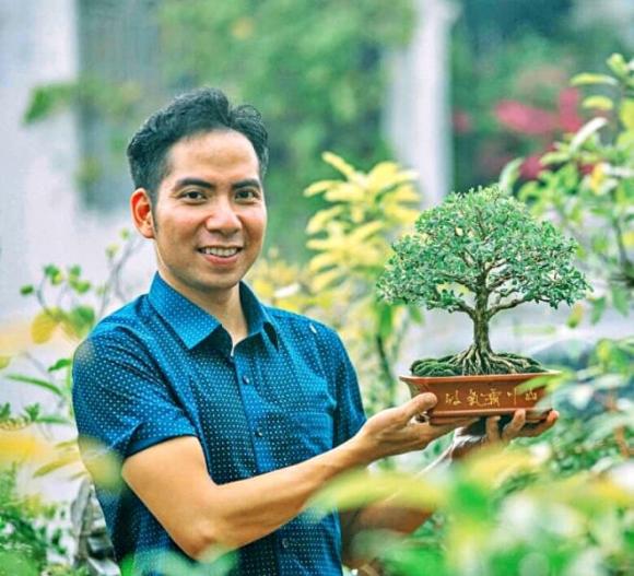 cây bonsai, cây cảnh, cây mọc dại ven đường