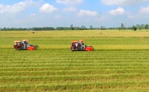 Luật đất đai, quy định chuyển mục đích sử dụng đất nông nghiệp