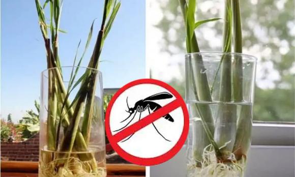 điều hoà, sử dụng điều hoà, 
