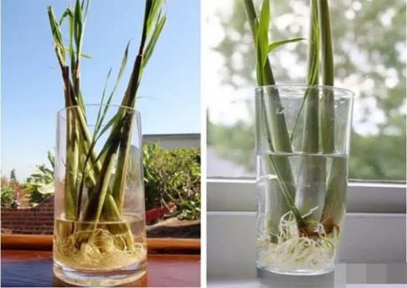đuổi muỗi, điều hòa, mẹo vặt gia đình