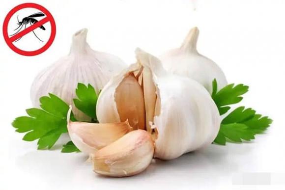 đuổi muỗi, điều hòa, mẹo vặt gia đình