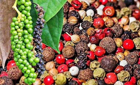 hồ tiêu, thuốc quý, mì chính