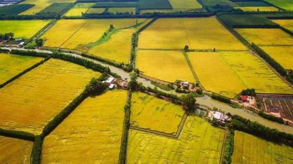 đất nông nghiệp, luật đất đai, Chuyển đất nông nghiệp sang đất ở