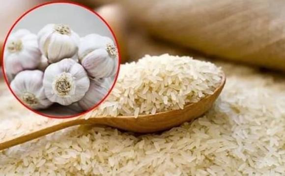 mọt gạo, bí quyết mua gạo ngon, mẹo vặt