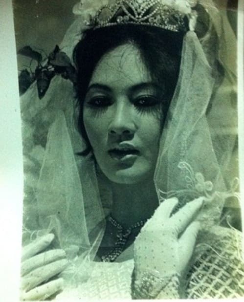 diễn viên Thẩm Thúy Hằng, sao Việt