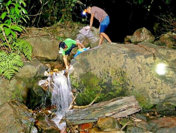 Quảng Trị, Quảng Ngãi, ốc đá, loại ốc xuất hiện vào ban đêm